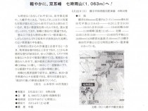 294表