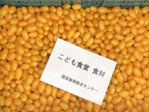 30IMG_9535