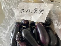 30IMG_9772