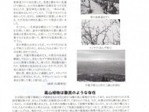 284裏