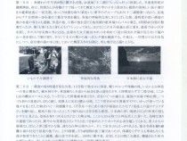 278裏
