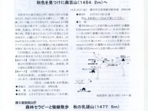 277表