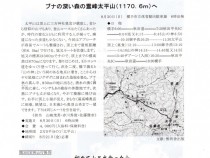 286号表