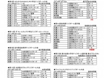 2013年度 横手南かがやキッズ戦績
