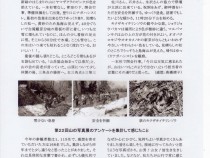 295裏A