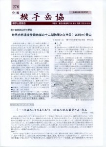 276表