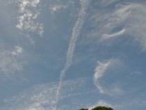 DSC_0188空p