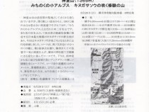 295表