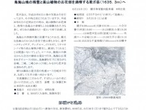 273表