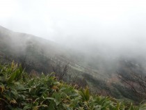 DSC00540A