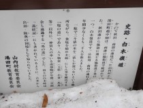 DSC01008A