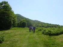 DSC01069