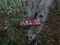 DSC01874a