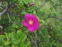 DSC02674