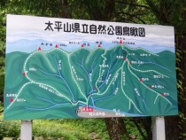 DSC03054A
