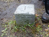 DSC03550A