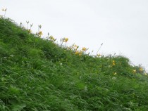 DSC03586B