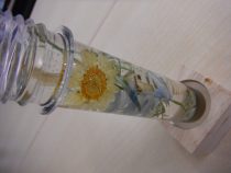 DSCF6583