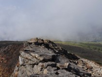 DSC_0008A