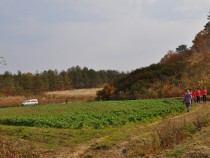 DSC_0033