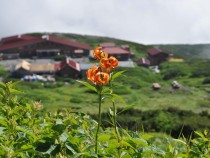 DSC_0053p