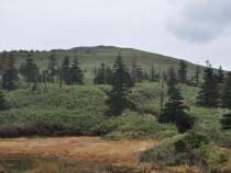 DSC_0202A