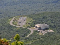 DSC_0216A