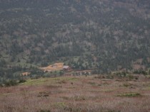 DSC_0249A