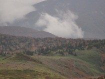 DSC_0250A