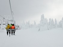 IMG_0014 (2)