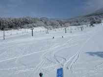 IMG_0017-1