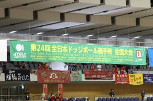 IMG_0029-s