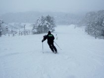 IMG_0345-1