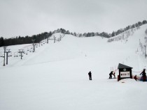 IMG_0368-1