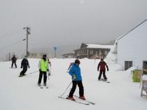 IMG_0390 (2)