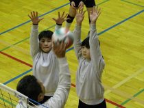 IMG_0797