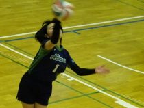 IMG_0808
