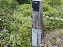 IMG_1790