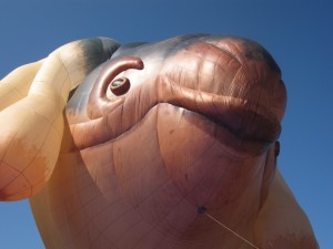 IMG_5176