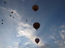 IMG_5382