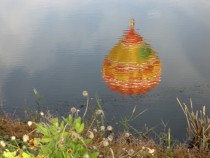 IMG_5402