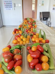 IMG_5603