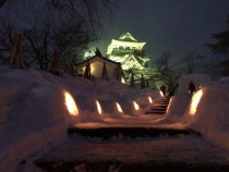 IMG_6752
