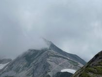IMG_7925