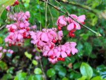 IMG_8176