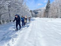 IMG_8421