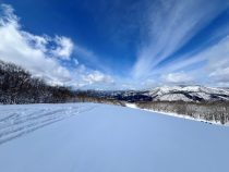 IMG_8422