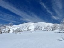 IMG_8427