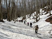 IMG_8535