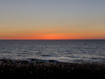 IMG_8928